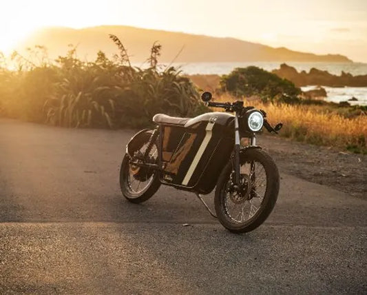 E-motorcycle Made From Hemp: FTN Motion’s Plant-based Bike Body (SCOOP BUSINESS)